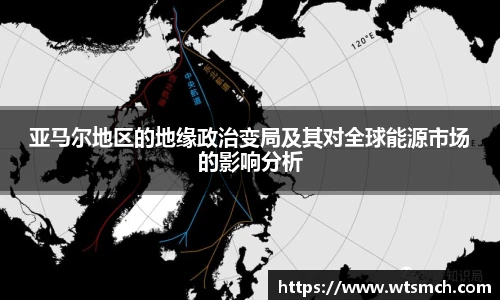 亚马尔地区的地缘政治变局及其对全球能源市场的影响分析