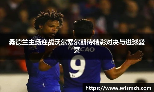桑德兰主场迎战沃尔索尔期待精彩对决与进球盛宴